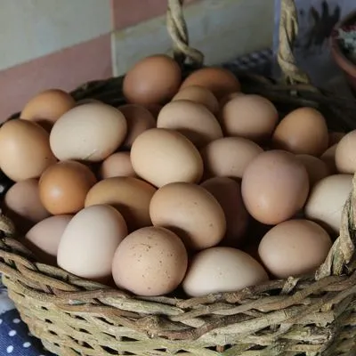 Loads of eggs in a basket